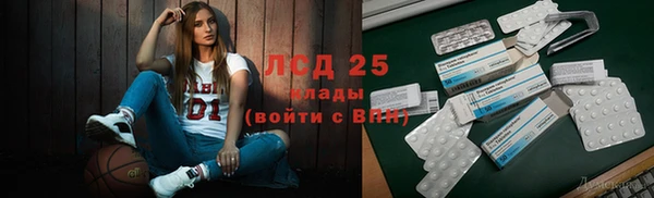 хмурый Абаза