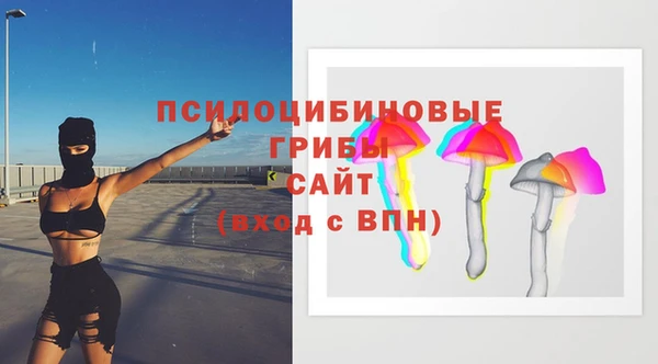 меф Снежногорск