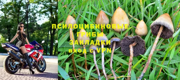 ПСИЛОЦИБИНОВЫЕ ГРИБЫ Слюдянка