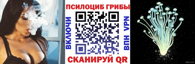 Псилоцибиновые грибы мицелий Отрадное