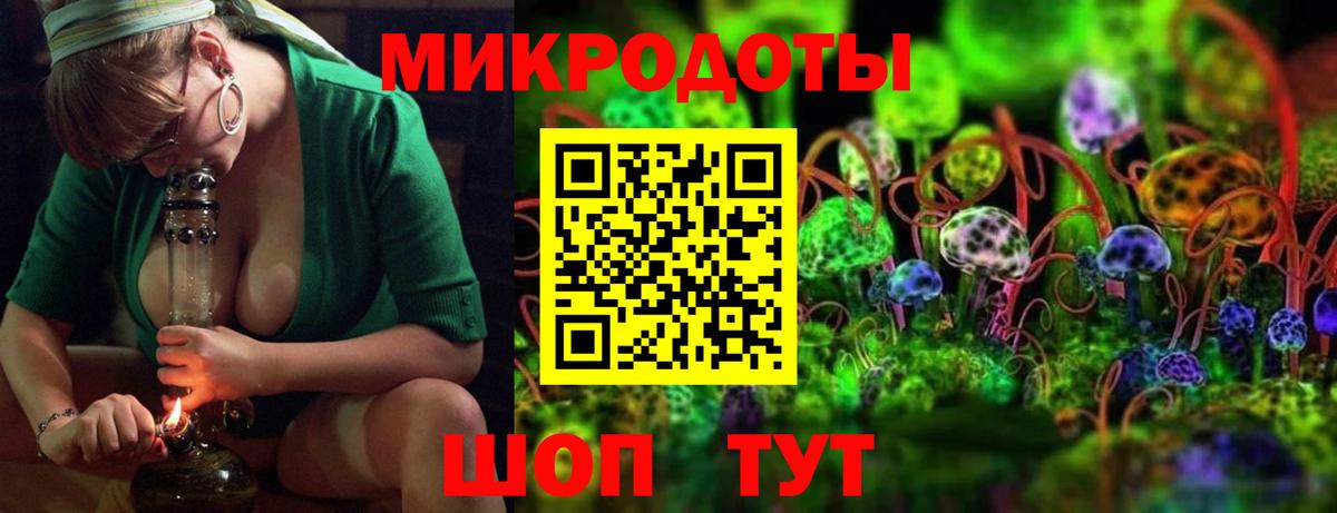 Галлюциногенные грибы Psilocybine cubensis  Вход с VPN  Отрадное  Псилоцибиновые грибы прущие грибы 